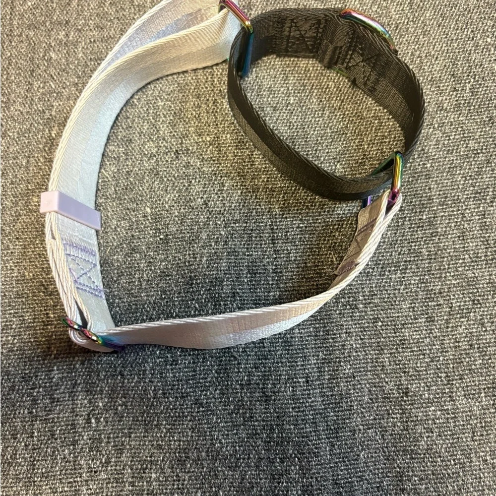 Top Paw Martingale Dog Collar